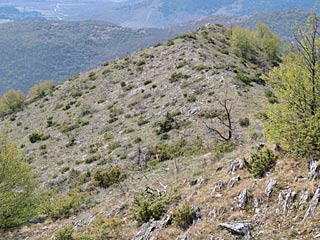 Biotop  in Bulgarien Pirin-Sd-Gebirge